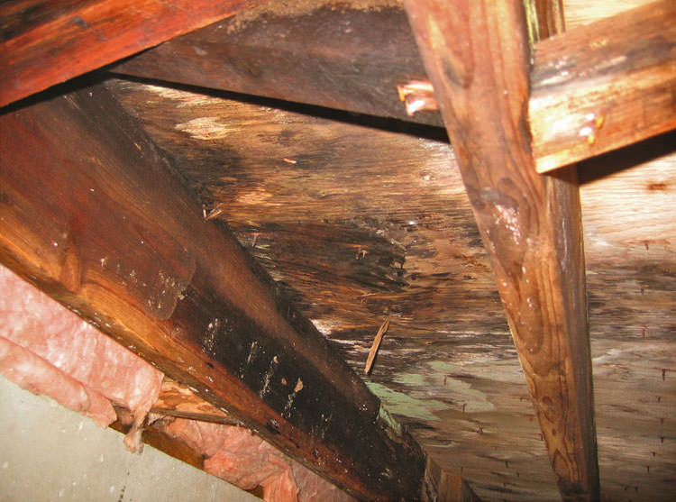 crawlspace-waterproofing-fenton-mi-basement-cracks-and-leaks-2